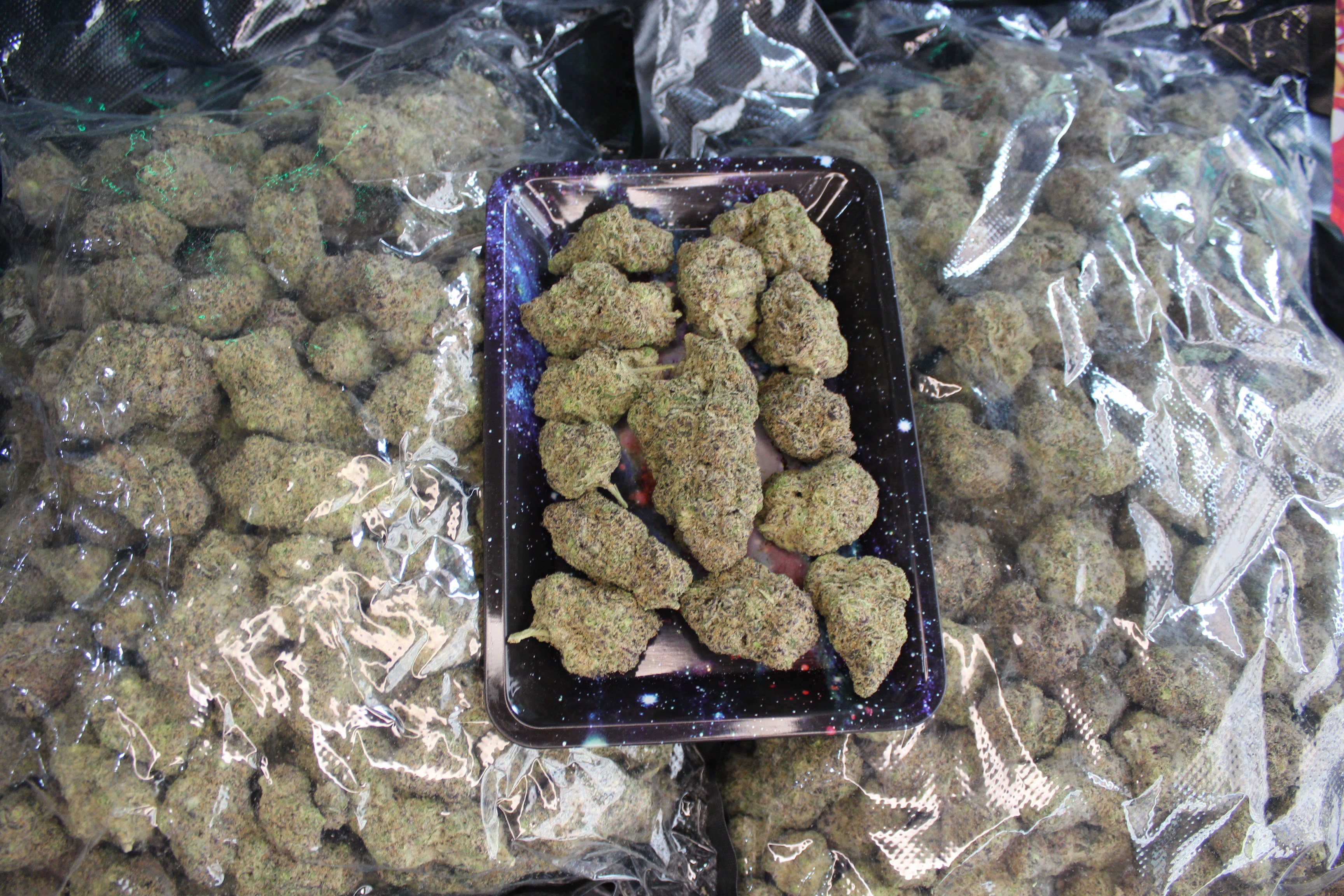 Fresh indoor cannabis flower packed for the shop menu