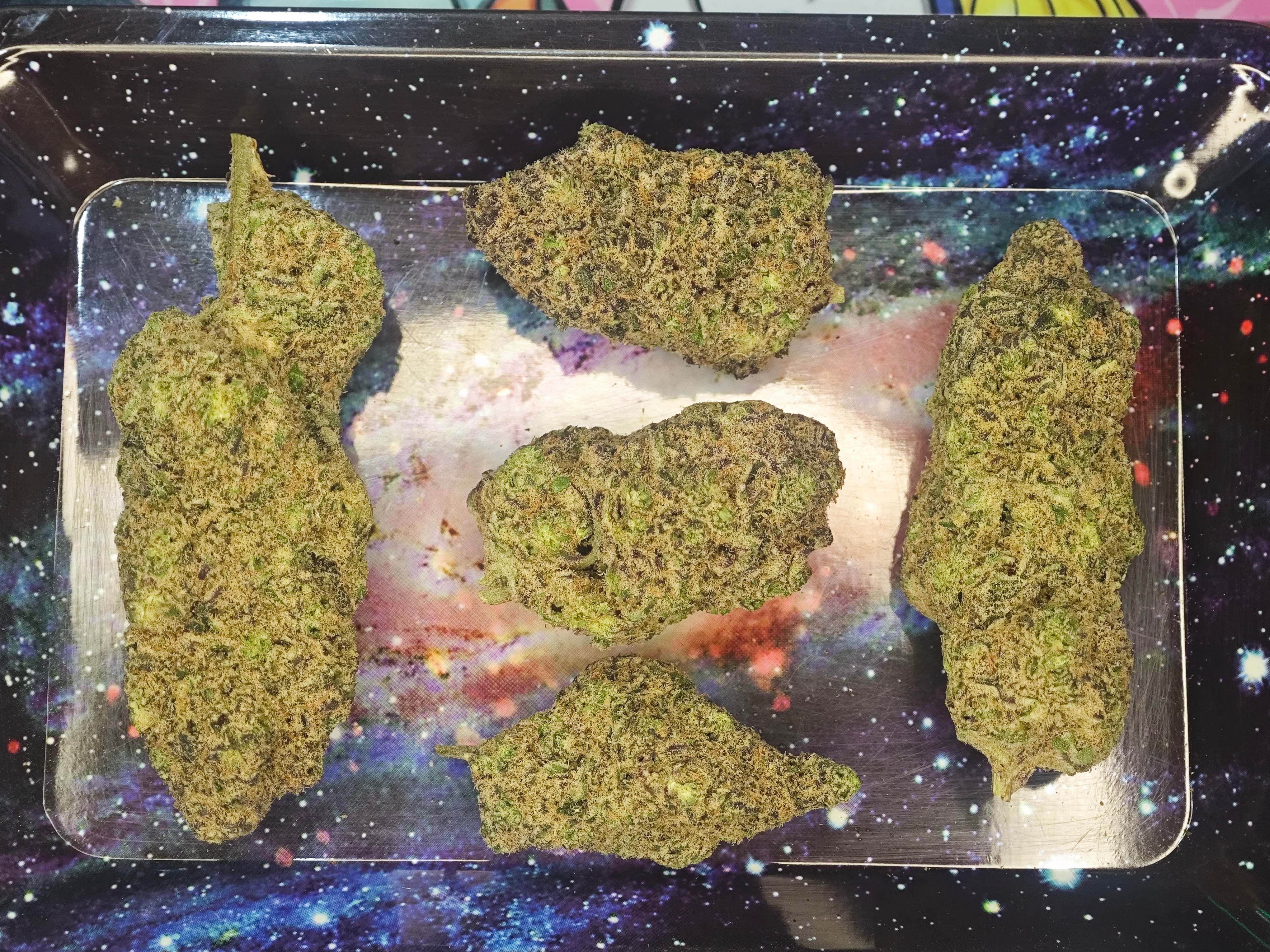 Premium cannabis buds close-up